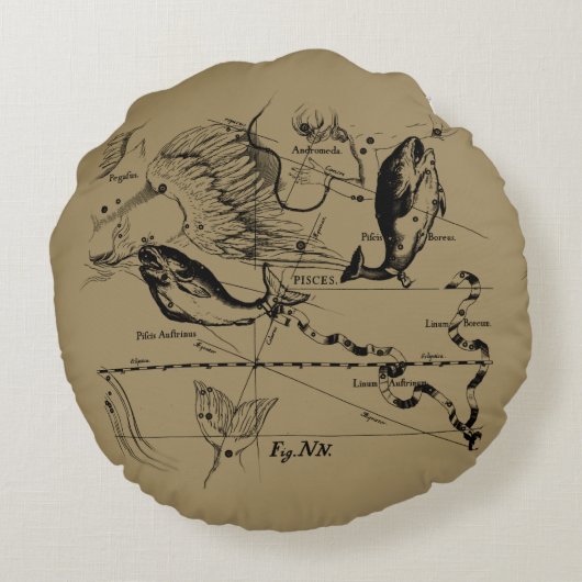 魚座のヘベリアス1690テループ ラウンドクッション (裏面)