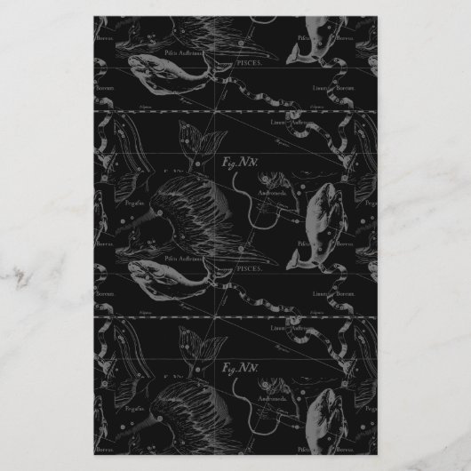魚座の地図(ヘベリウス1690) チラシ (正面)