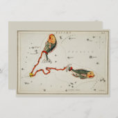 魚座の星印〔占星術の〕十二宮図誕生日注 シーズンカード (正面/裏面)
