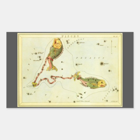 魚座の魚、ヴィンテージ星座天体図「ウラニアの鏡」 長方形シール (正面)