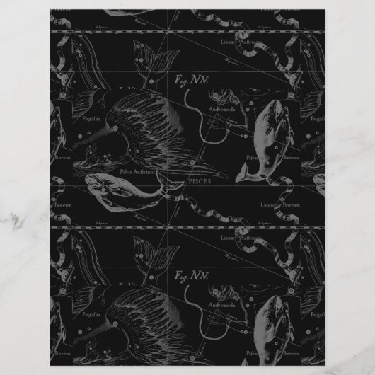 魚座ヘベリアス1690オンブラック (正面)