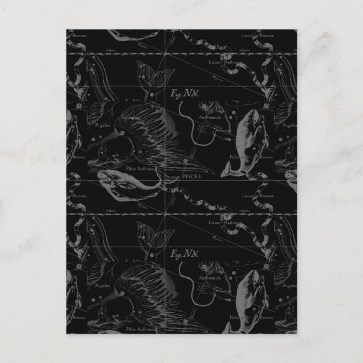 魚座ヘベリアス1690オンブラック ポストカード (正面)