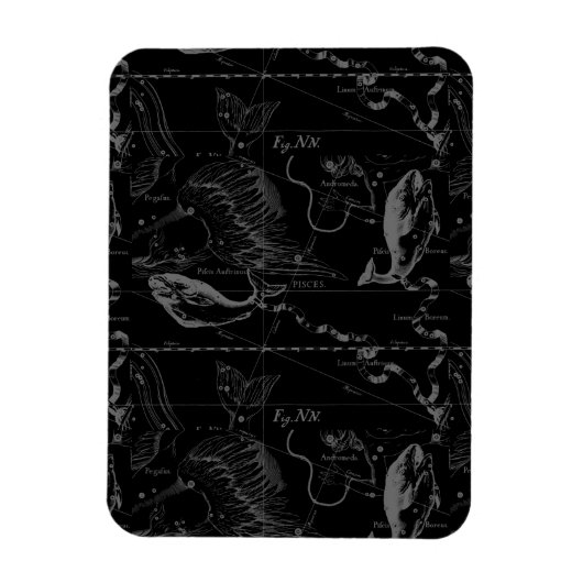 魚座ヘベリアス1690オンブラック マグネット (縦)