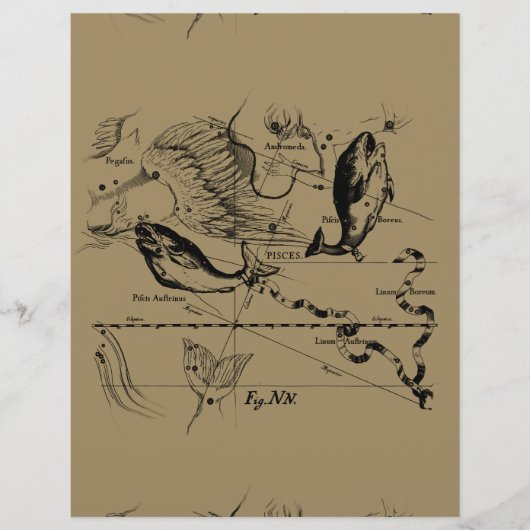 魚座ヘベリアス1690デコル (正面)