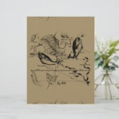 魚座ヘベリアス1690デコル (スタンド正面)