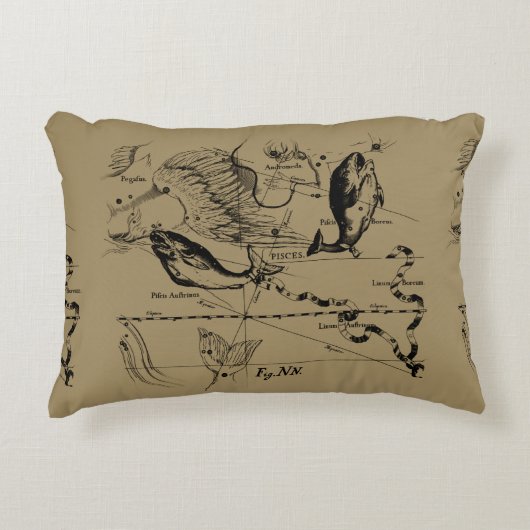 魚座ヘベリアス1690デコル アクセントクッション (正面)