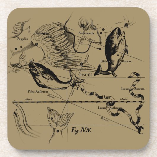 魚座ヘベリアス1690デコル コースター (正面)