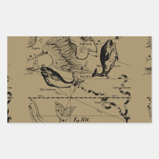魚座ヘベリアス1690デコル 長方形シール (正面)