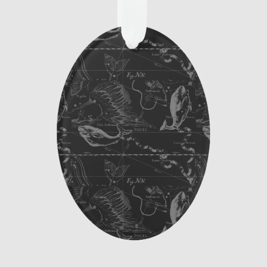 魚座ヘベリアス1690マップ版木、銅版、版画 オーナメント (正面)