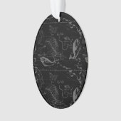 魚座ヘベリアス1690マップ版木、銅版、版画 オーナメント (正面)