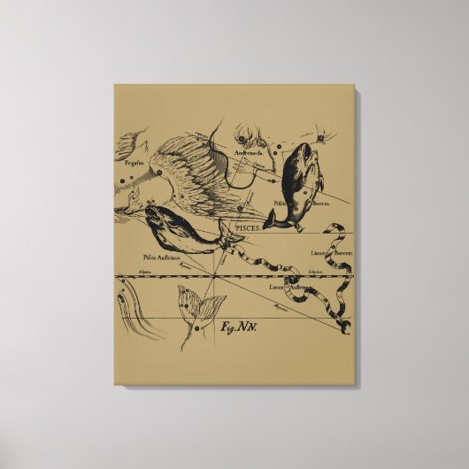 魚座ヘベリアス1690年頃 キャンバスプリント (正面)