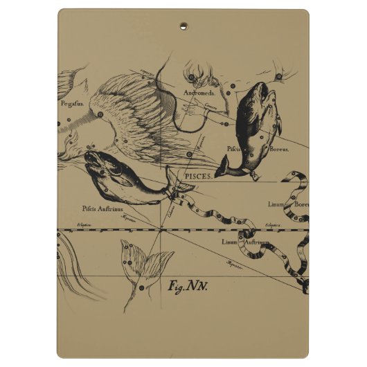 魚座ヘベリアス1690年頃 クリップボード (裏面)