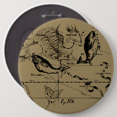 魚座ヘベリアス1690年頃 缶バッジ (正面&裏面)