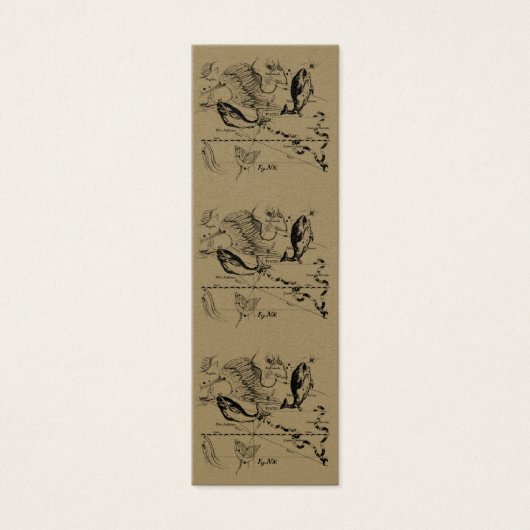 魚座ヘベリアス1690年2月19日~3月20日 (正面)