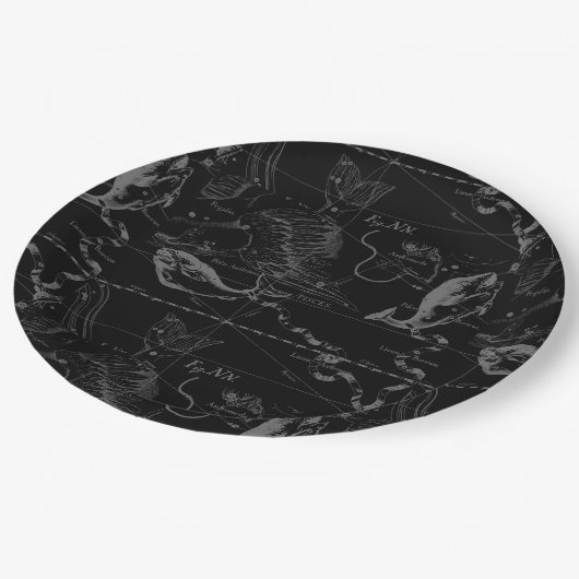 魚座ヘベリアス1690年2月19日~3月20日 ペーパープレート (アングル)