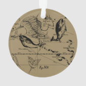 魚座ヘベリアス1690版木、銅版、版画 オーナメント (裏面)