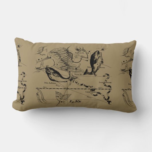 魚座ヘベリアス1690版木、銅版、版画 ランバークッション (正面)