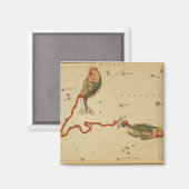 魚座マグネット マグネット (正面/裏面)