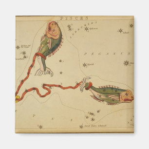 魚座マグネット マグネット