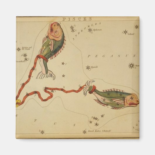魚座マグネット マグネット (正面)