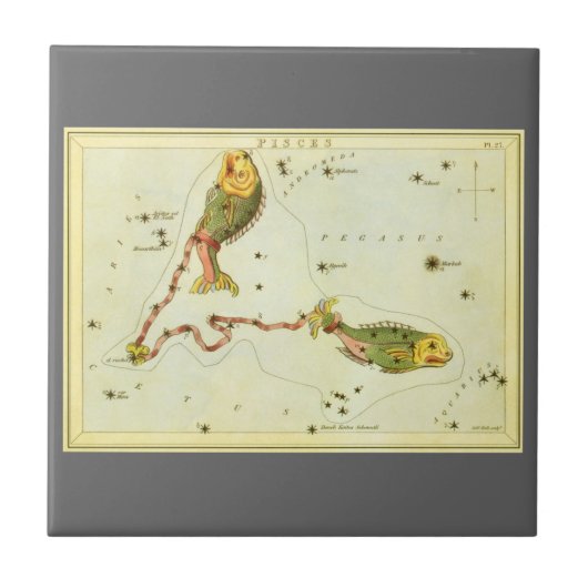 魚座ヴィンテージ座ウラニア鏡 タイル (正面)