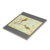 魚座ヴィンテージ座ウラニア鏡 タイル (側面)