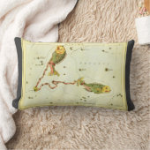 魚座ヴィンテージ座ウラニア鏡 ランバークッション (ブランケット)