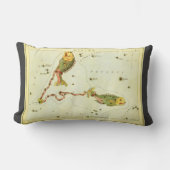 魚座ヴィンテージ座ウラニア鏡 ランバークッション (正面)