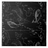 魚座蛇座1690 （黒） タイル (正面)