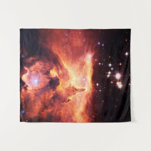 魚座24-1中 タペストリー (正面(横))