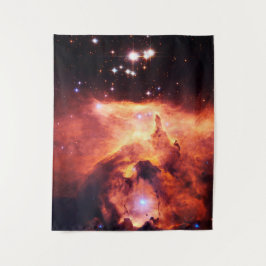 魚座24-1中 タペストリー