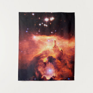 魚座24-1中 タペストリー