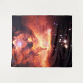 魚座24-1大 タペストリー (正面(横))