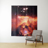 魚座24-1大 タペストリー (インサイチュ)