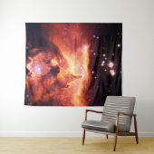 魚座24-1大 タペストリー (インサイチュ(横))