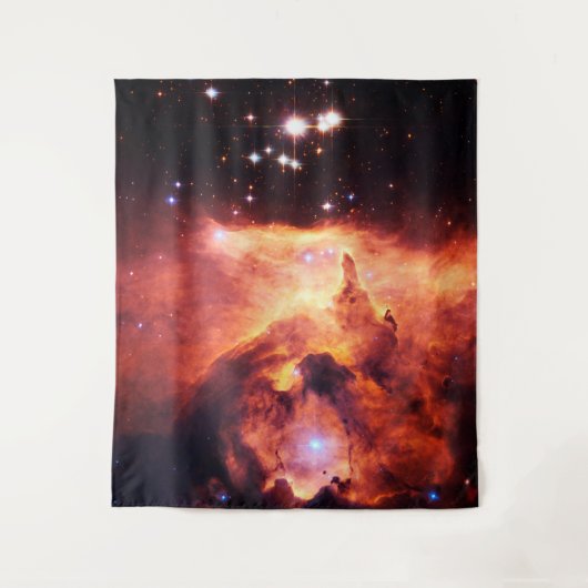 魚座24-1大 タペストリー (正面)