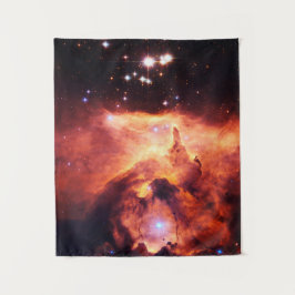 魚座24-1小 タペストリー