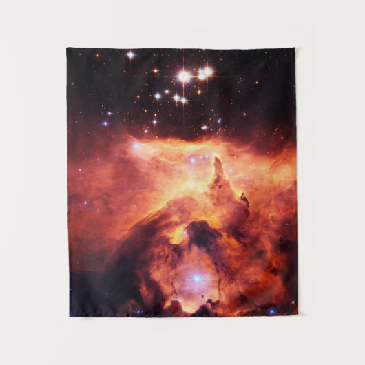 魚座24-1小 タペストリー (正面)