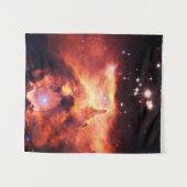 魚座24-1小 タペストリー (正面(横))