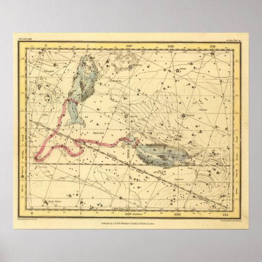 魚座 ポスター (正面)