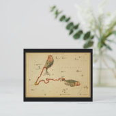 魚座 ポストカード (スタンド正面)