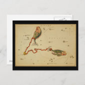 魚座 ポストカード (正面/裏面)