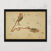 魚座 ポストカード (正面)