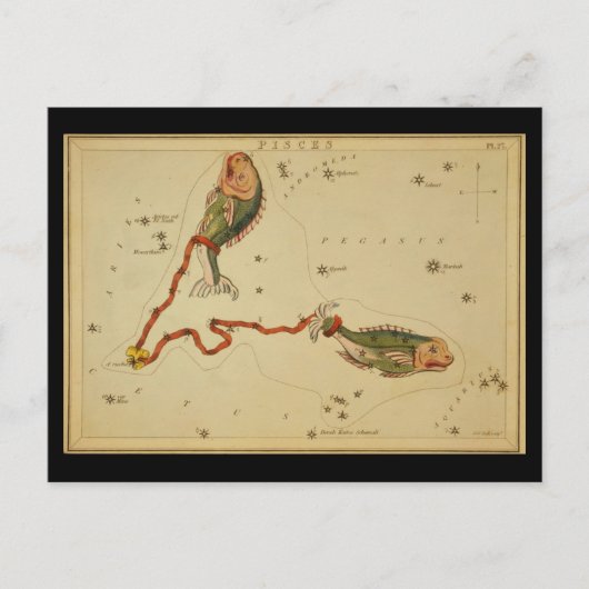 魚座 ポストカード (正面)