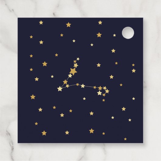 魚座〔占星術の〕十二宮図ありがとうベビーシャワー フェイバータグ (裏面)