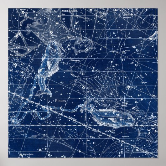 魚座〔占星術の〕十二宮図標識ヴィンテージイラストレーション ポスター (正面)