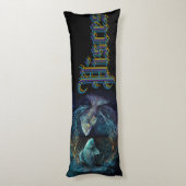 魚座〔占星術の〕十二宮図標識 ボディピロー (裏面 (縦))