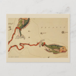 魚座〔占星術の〕十二宮図標識 ポストカード