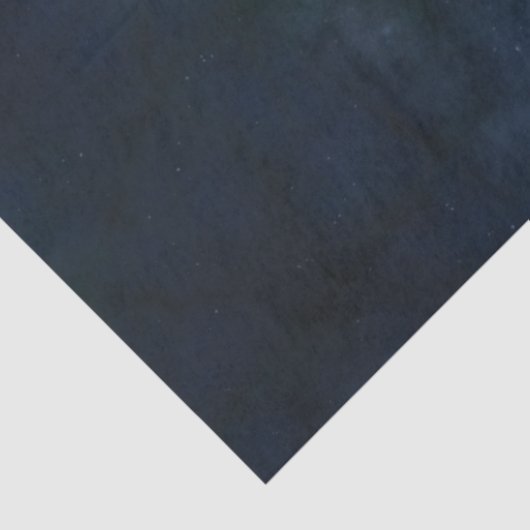 魚座 薄葉紙 (詳細)