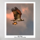 魚得 ポスター (正面)